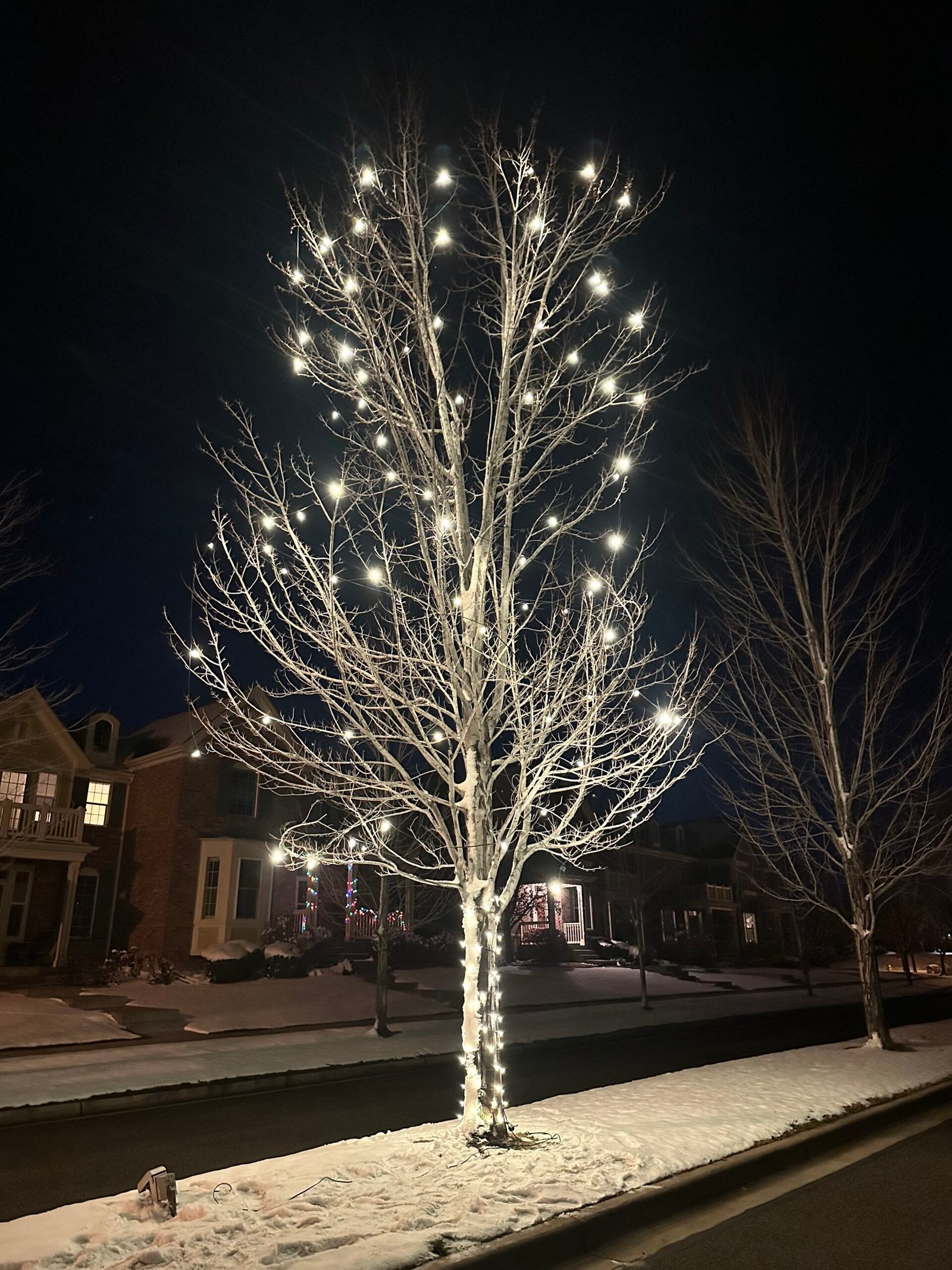 Holiday lighting project